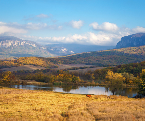 Sfondi River tranquility countryside 480x400