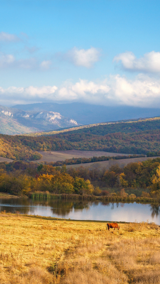 Fondo de pantalla River tranquility countryside 640x1136