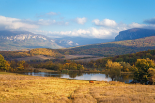 River tranquility countryside - Obrázkek zdarma 