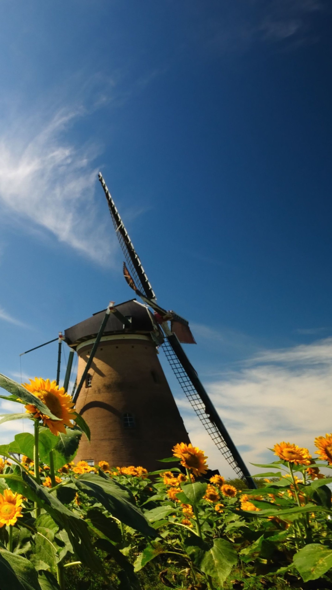 Обои Mill In Sunflower Field 1080x1920