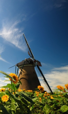 Mill In Sunflower Field screenshot #1 240x400