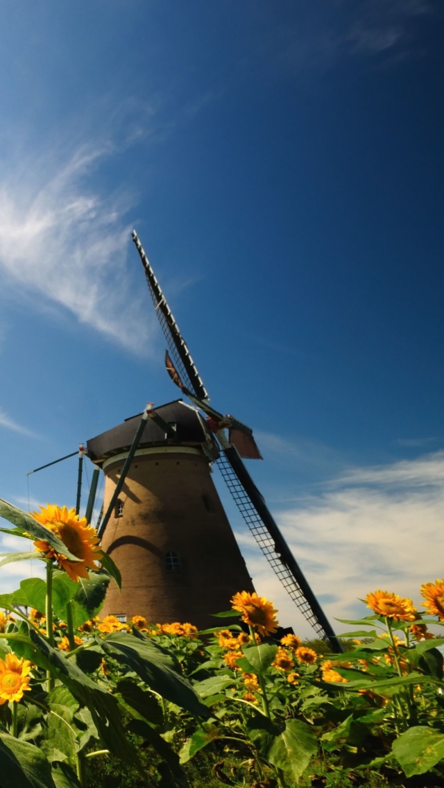 Das Mill In Sunflower Field Wallpaper 640x1136