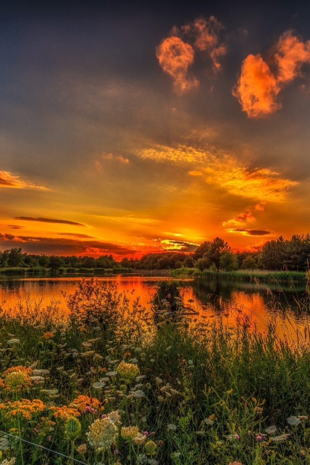 Sfondi Beauty of Romanian landscapes 640x960