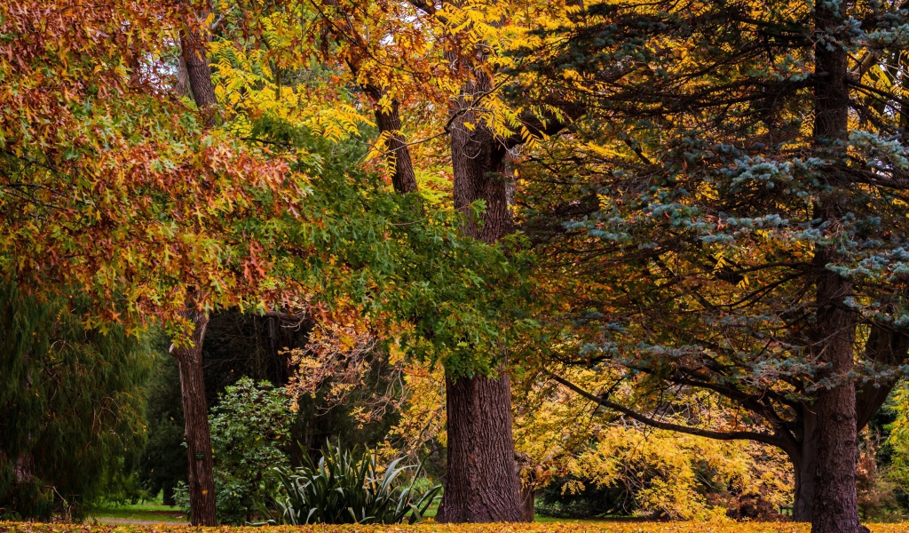 Australian National Botanic Gardens screenshot #1 1024x600