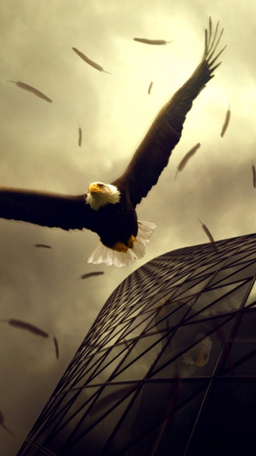 Eagle Flight screenshot #1 360x640