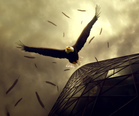Eagle Flight screenshot #1 480x400