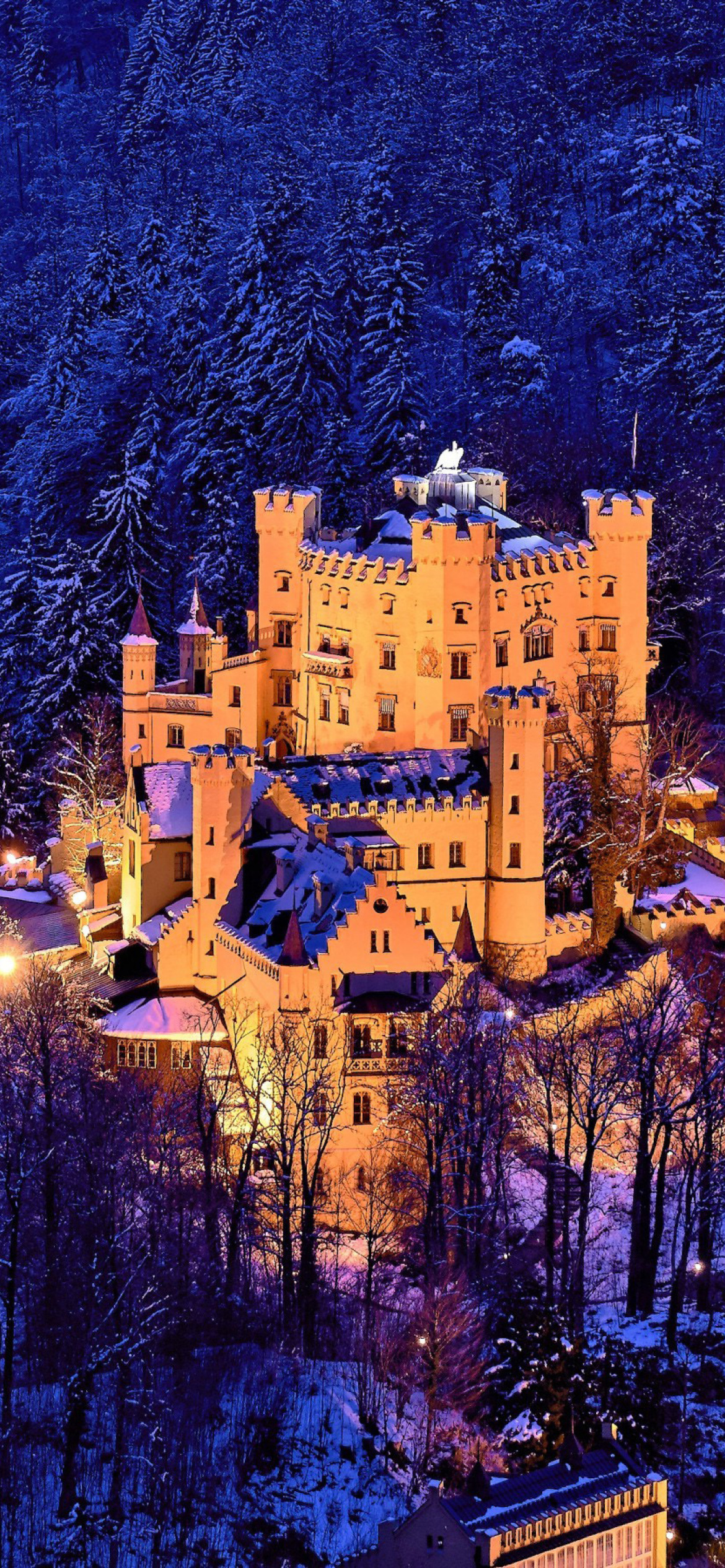 Screenshot №1 pro téma Hohenschwangau Castle 1170x2532