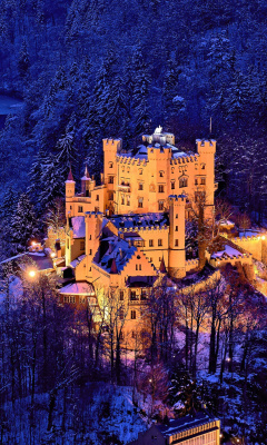 Hohenschwangau Castle screenshot #1 240x400