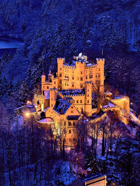 Screenshot №1 pro téma Hohenschwangau Castle 480x640