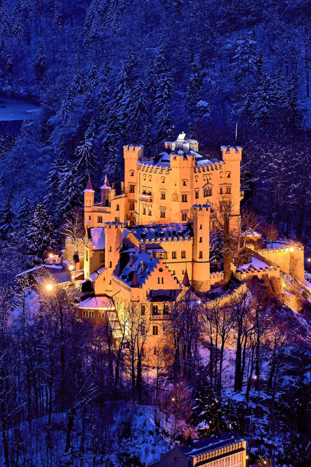 Sfondi Hohenschwangau Castle 640x960