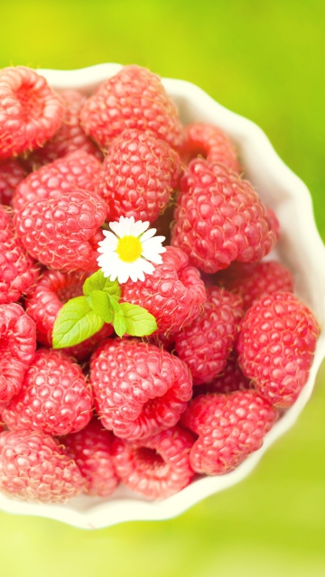 Raspberries And Daisy wallpaper 360x640