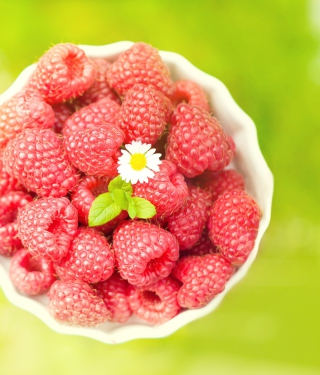 Raspberries And Daisy - Obrázkek zdarma pro 640x1136
