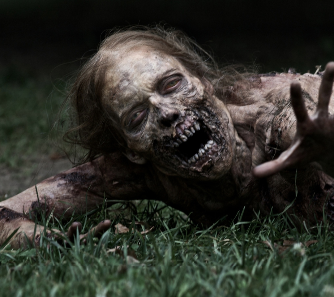 The Walking Dead screenshot #1 1080x960