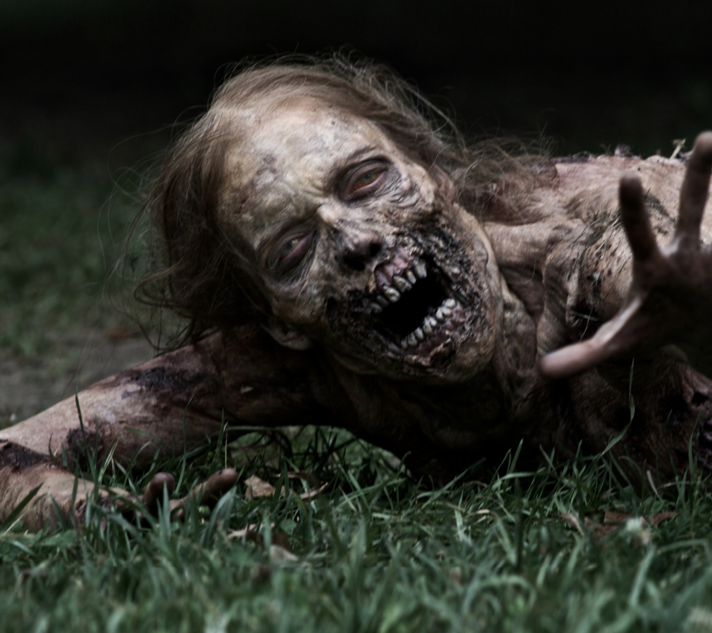 Screenshot №1 pro téma The Walking Dead 1440x1280