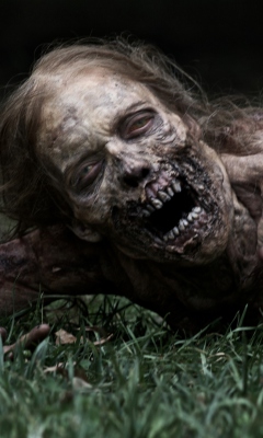 Screenshot №1 pro téma The Walking Dead 240x400