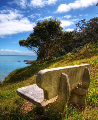 Lonely Bench - Obrázkek zdarma pro 1080x1920