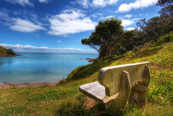 Lonely Bench wallpaper