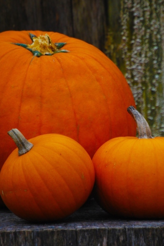 Fondo de pantalla Orange Pumpkins 320x480