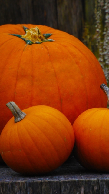 Sfondi Orange Pumpkins 360x640