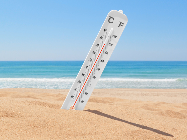 Thermometer on Beach screenshot #1 640x480