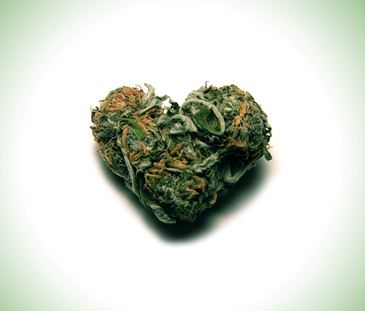 Обои I Love Weed Marijuana 1200x1024