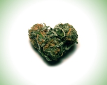Обои I Love Weed Marijuana 220x176
