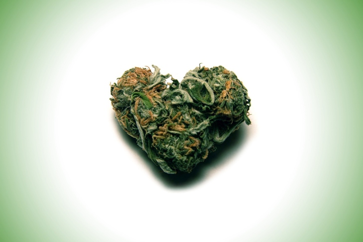 Обои I Love Weed Marijuana
