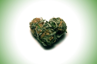 I Love Weed Marijuana - Obrázkek zdarma pro Android 480x800