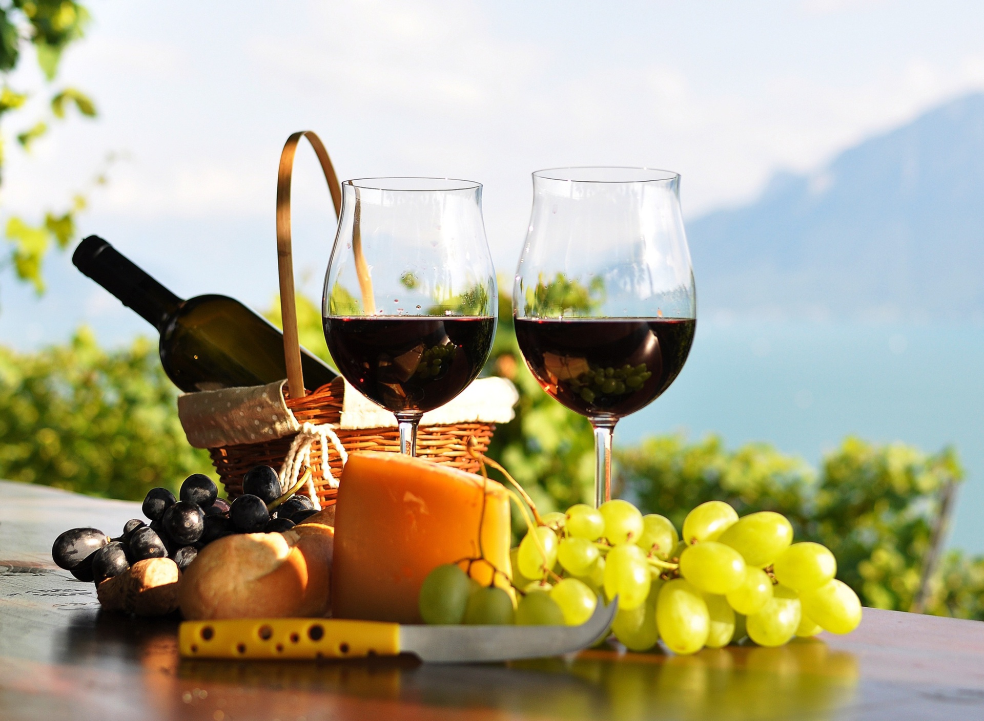 Sfondi Picnic with wine and grapes 1920x1408