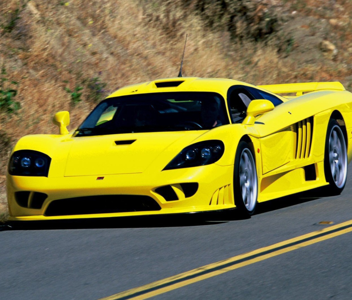 Fondo de pantalla Saleen S7 1200x1024