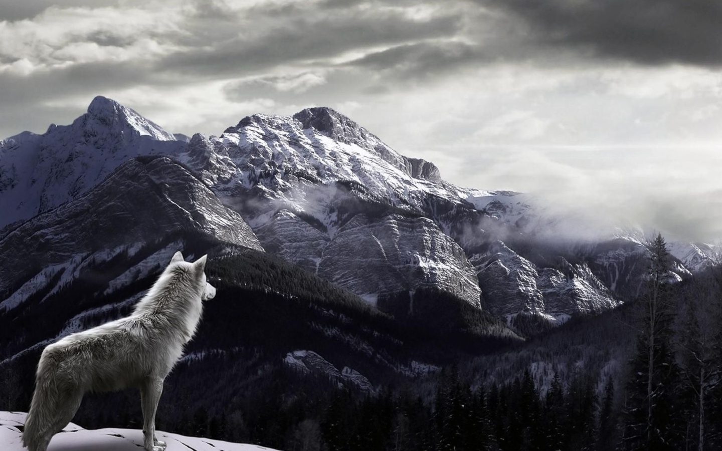 Screenshot №1 pro téma Wolf in Mountain 1440x900