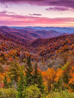 Обои Autumn Mountains Alpine Panorama 240x320