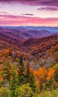 Das Autumn Mountains Alpine Panorama Wallpaper 240x400