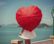 Red Heart Umbrella wallpaper 176x144