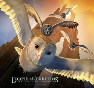 Legend of the Guardians: The Owls of Ga'Hoole Wallpaper for 208x208