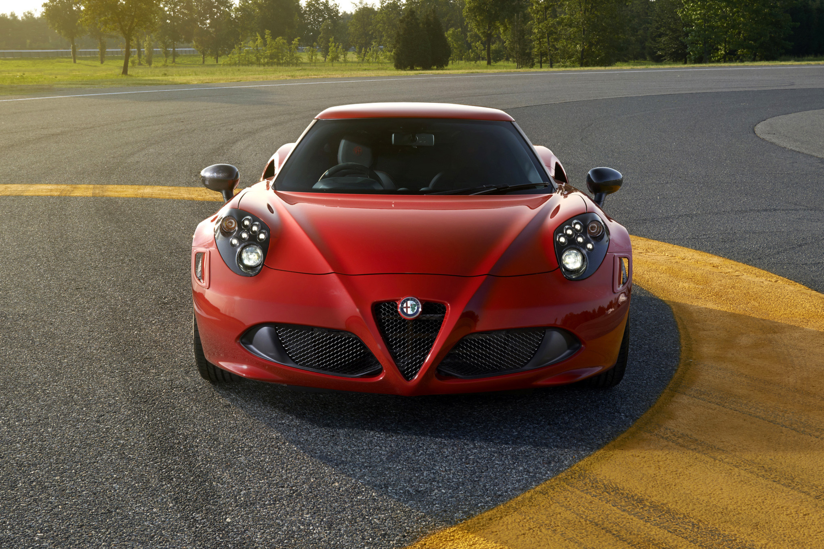 Screenshot №1 pro téma Alfa Romeo 4C Front View 2880x1920