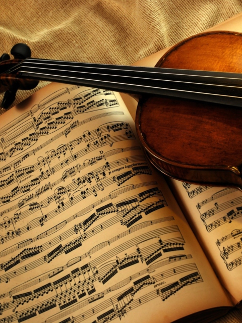 Violin And Notes wallpaper 480x640