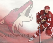 Обои Wojtek Wolski Phoenix Coyotes 176x144