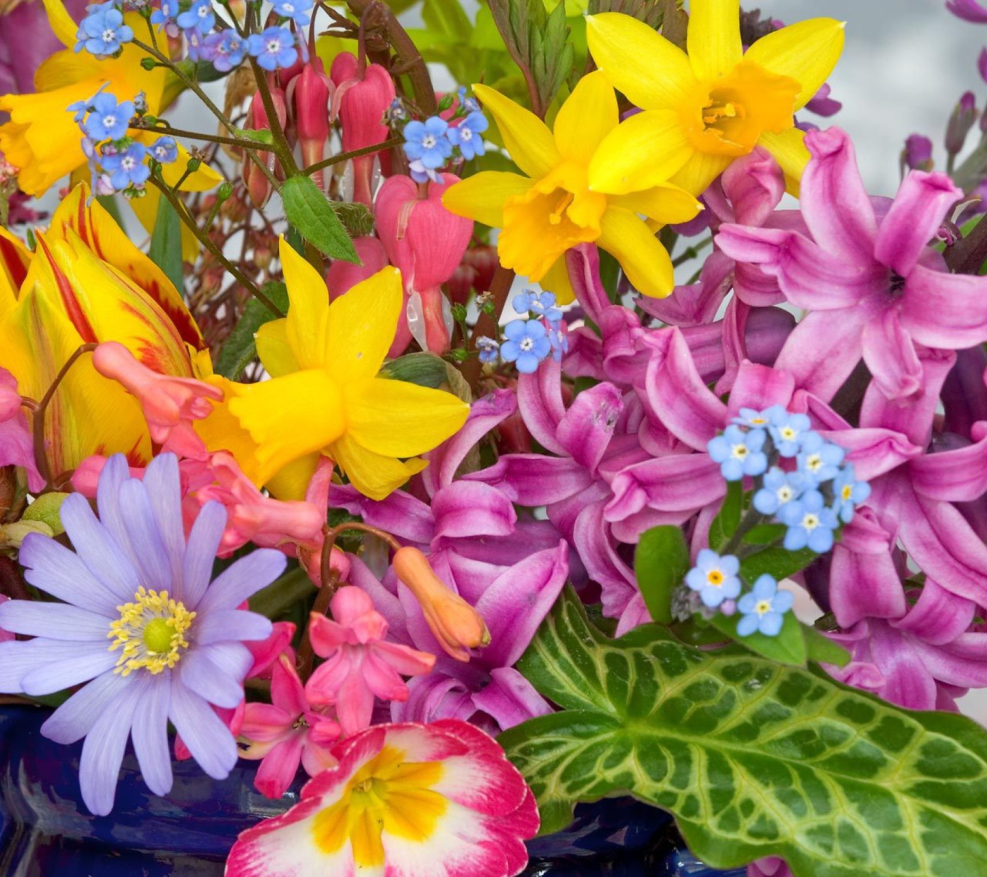 Spring Glamour Flowers wallpaper 1440x1280