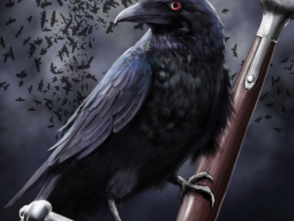 Raven wallpaper 1024x768