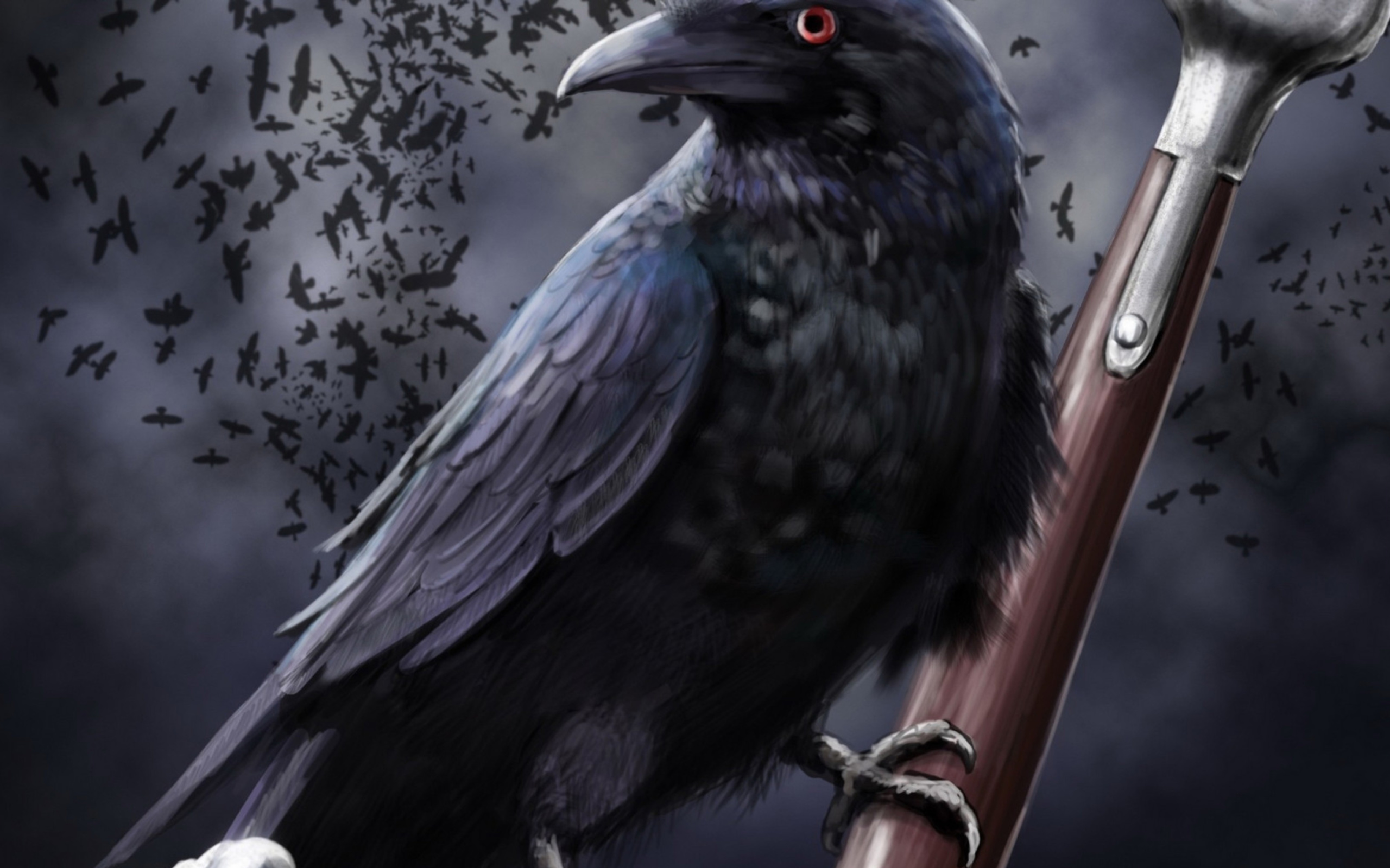 Raven wallpaper 2560x1600