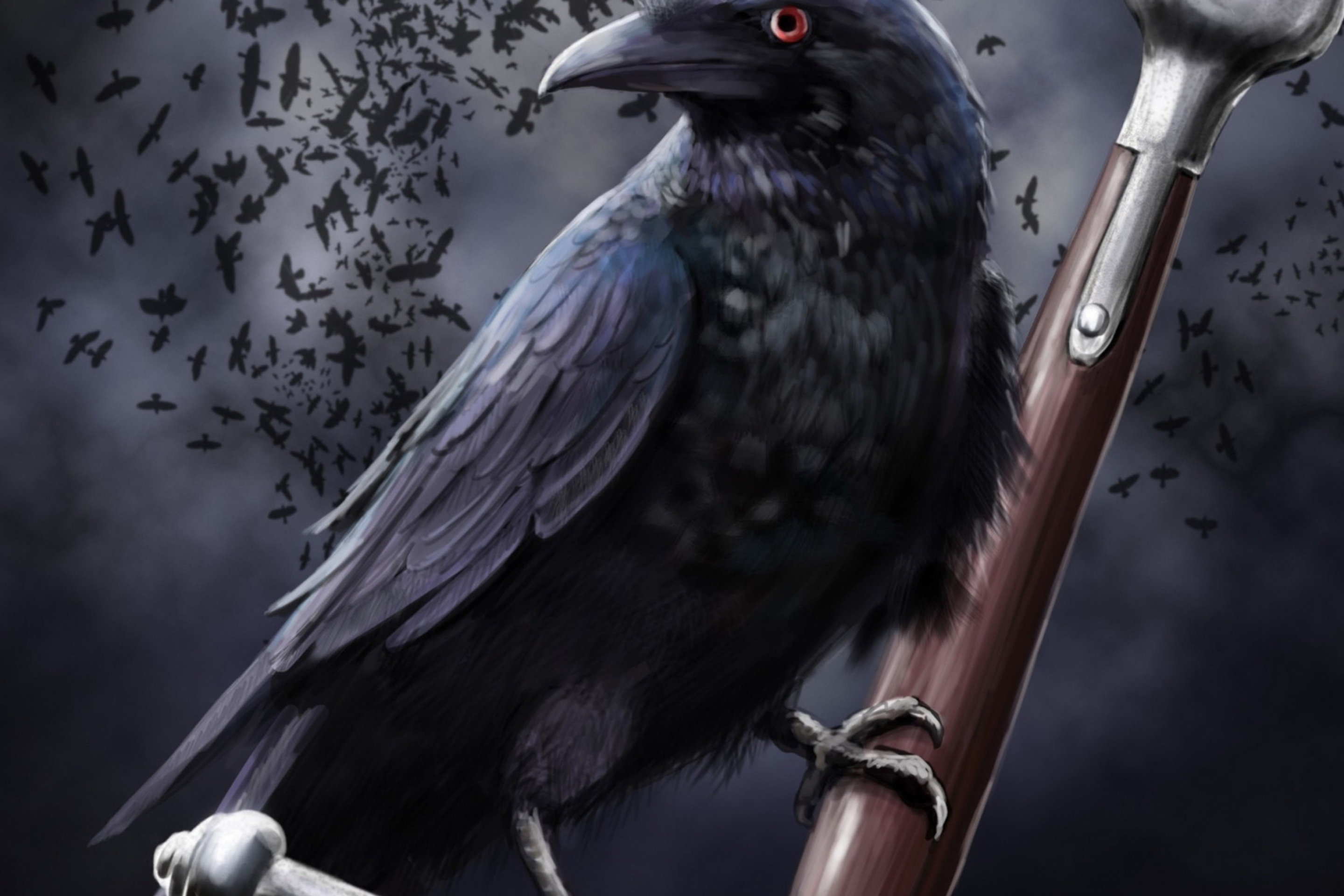 Fondo de pantalla Raven 2880x1920