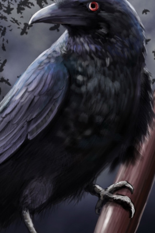 Fondo de pantalla Raven 320x480