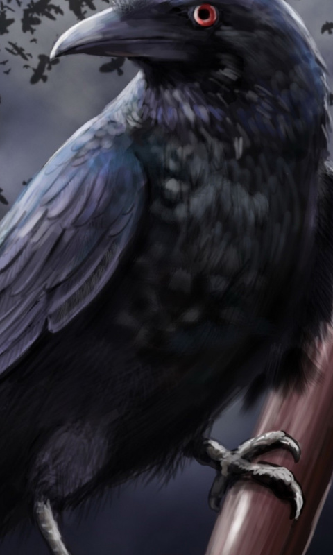 Raven screenshot #1 480x800