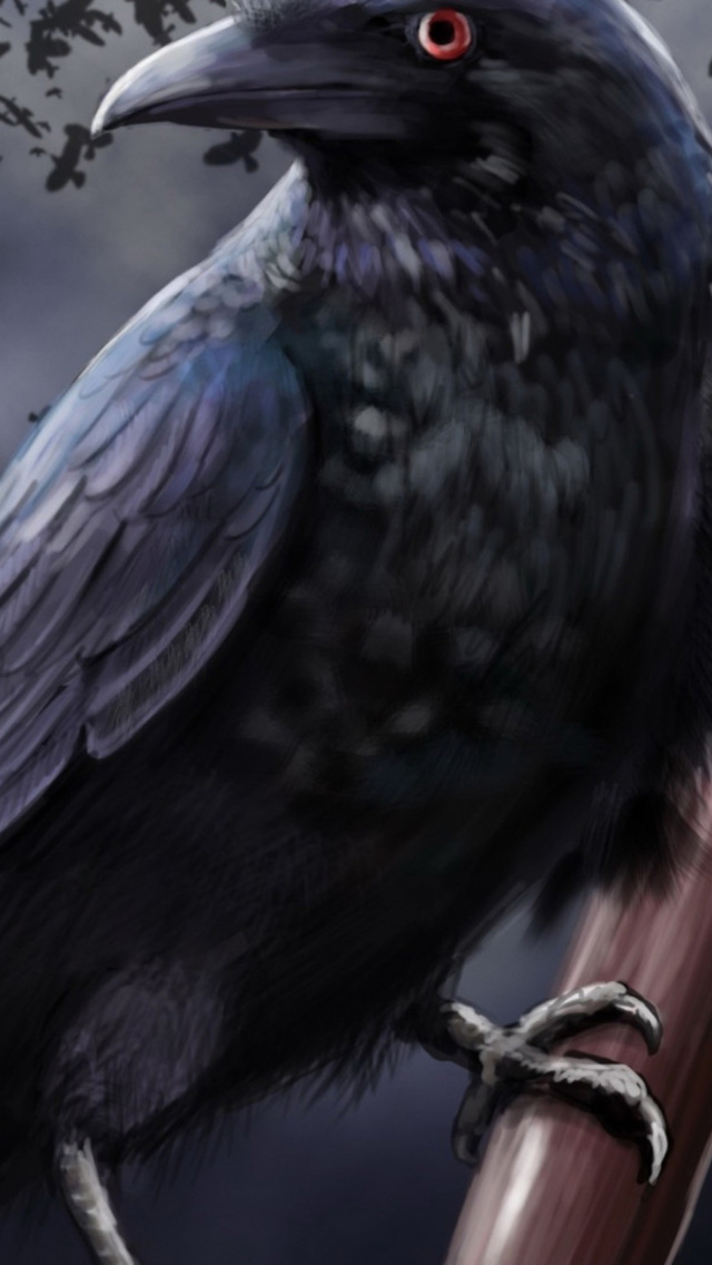 Raven wallpaper 640x1136