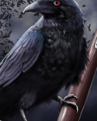 Картинка Raven на телефон Nokia X2-02