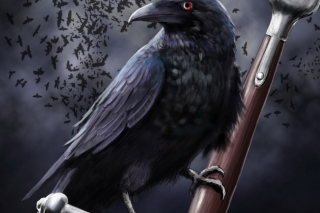 Raven Wallpaper for Android, iPhone and iPad