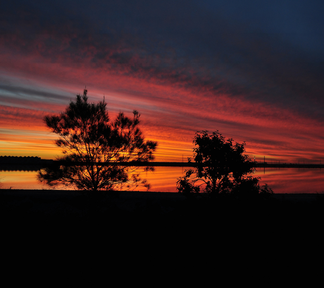 Fondo de pantalla Red Sunset And Dark Tree Silhouettes 1080x960