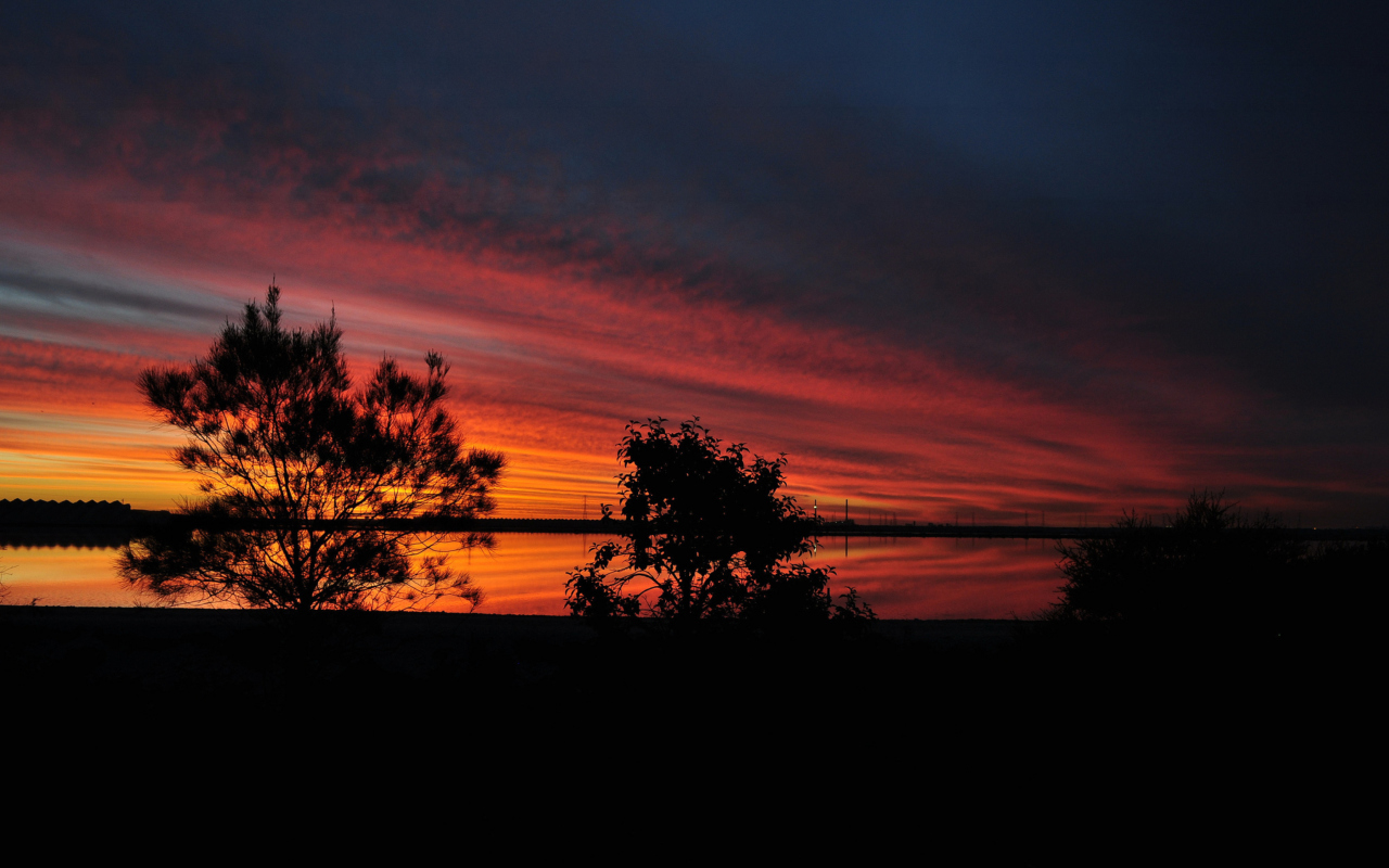 Red Sunset And Dark Tree Silhouettes screenshot #1 1280x800