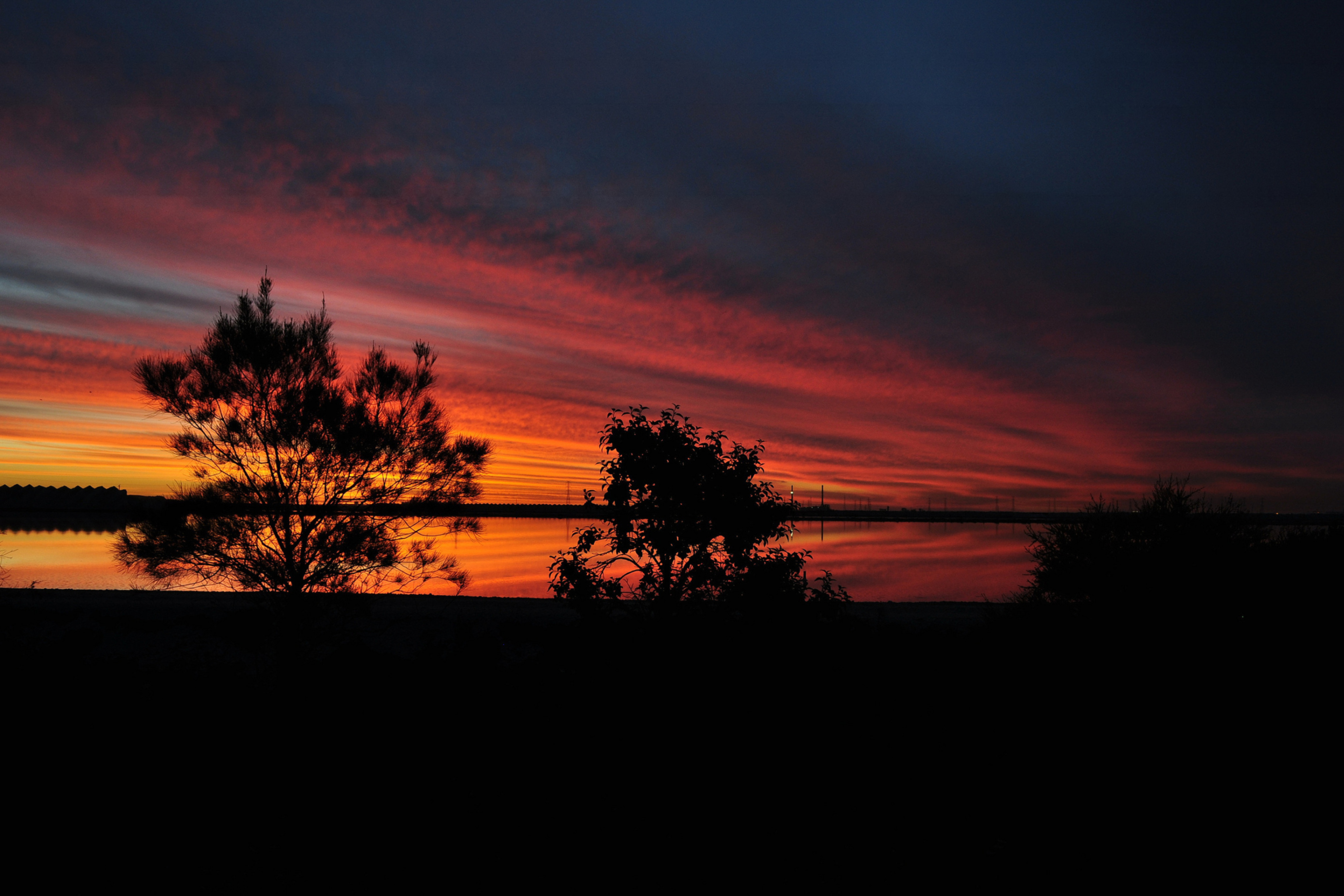 Screenshot №1 pro téma Red Sunset And Dark Tree Silhouettes 2880x1920